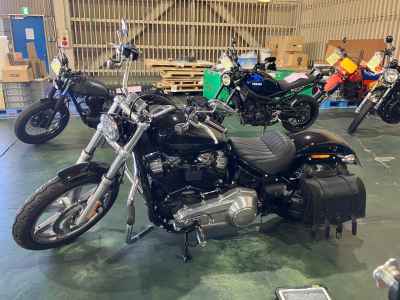 Harley-Davidson FXST 2022