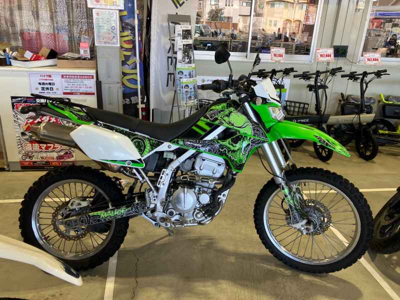 Kawasaki KLX250