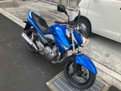 Suzuki GSR250