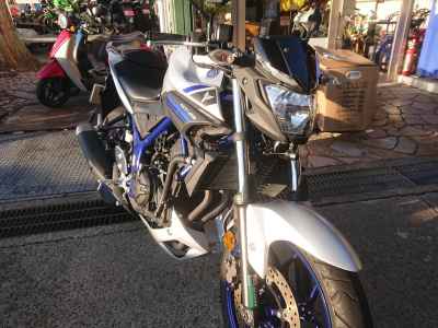 Yamaha MT-25 2016
