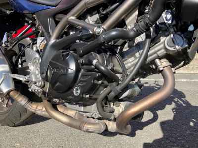 Suzuki SV650 2024