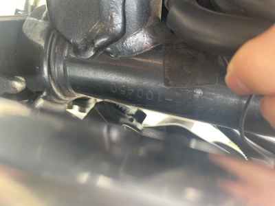 Suzuki Gladius SFV400 2010