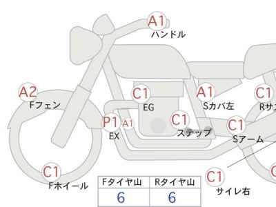 Kawasaki Estrella RS