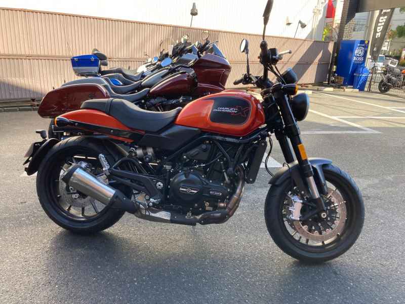 Harley-Davidson X500 2025