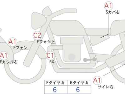 Kawasaki Versys-X 250