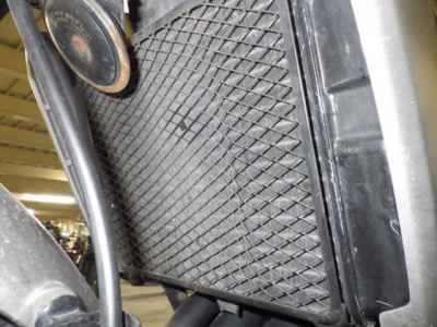 Kawasaki Balius ZR250