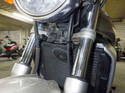 Kawasaki Balius ZR250