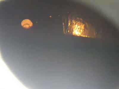 Harley-Davidson Super Glide FXDC1580 2013