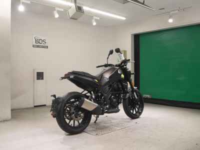 Benelli Leoncino 250 2022