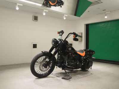 Harley-Davidson Slim S FLSS1800 2015