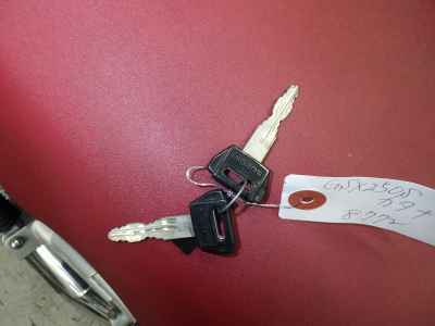 Suzuki GSX250S Katana