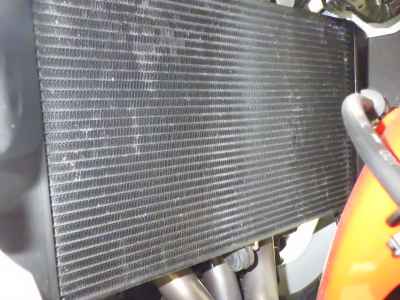 Yamaha XSR900 GP 2024