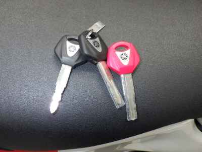 Yamaha XSR900 GP 2024