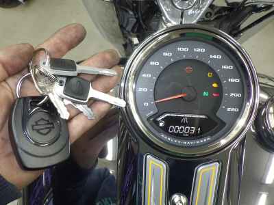 Harley-Davidson FLSTFI 2025