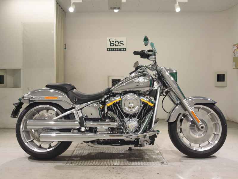 Harley-Davidson FLSTFI 2025