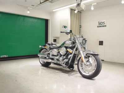 Harley-Davidson FLSTFI 2025