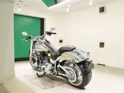 Harley-Davidson FLSTFI 2025