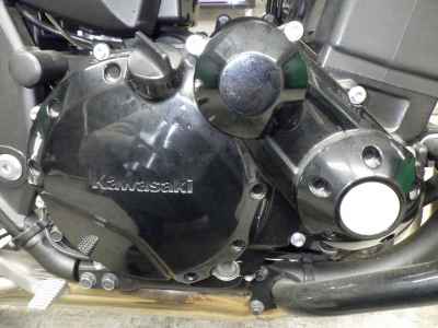 Kawasaki ZRX1200 Daeg 2015