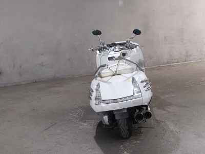 Yamaha Maxam 250 2006