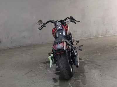 Harley-Davidson Softail FXSTC1580 2010