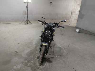 Benelli Leoncino 250 2021