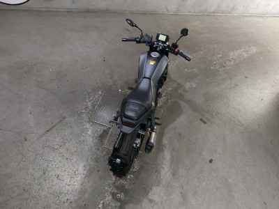 Benelli Leoncino 250 2021