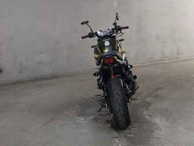 Kawasaki Z900RS 2019