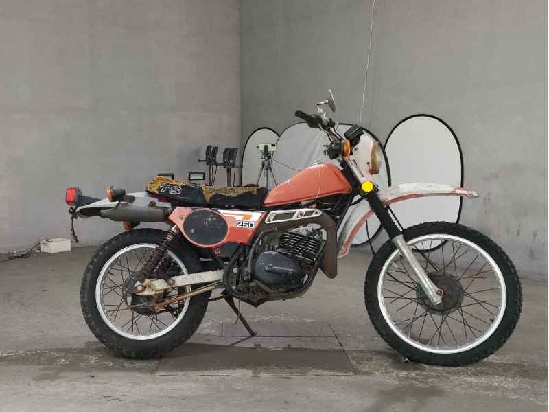 Suzuki TS250