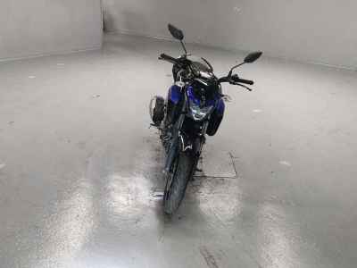 Yamaha FZ25 2019
