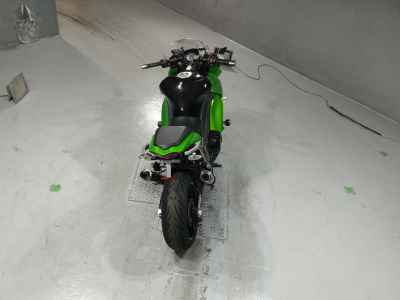 Kawasaki Ninja 1000 2011