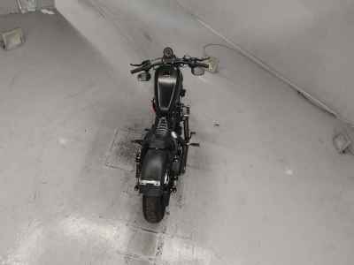 Harley-Davidson Sportster Iron XL883N 2010