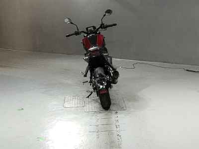 Benelli Leoncino 250 2022