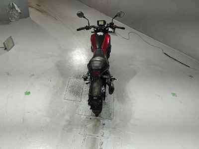 Benelli Leoncino 250 2022