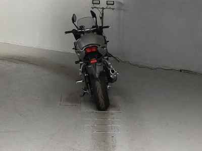 Yamaha FZ1 Fazer 2006