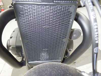 Triumph Bonneville T100 2019