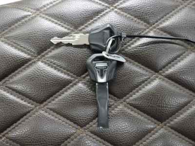 Triumph Bonneville T100 2019