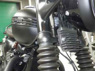 Triumph Bonneville T100 2019