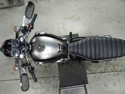 Kawasaki W800 2025