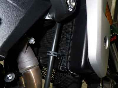 Triumph Trident 660 2021