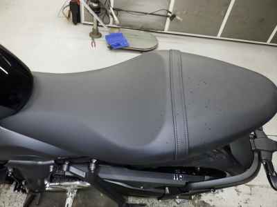 Triumph Trident 660 2025