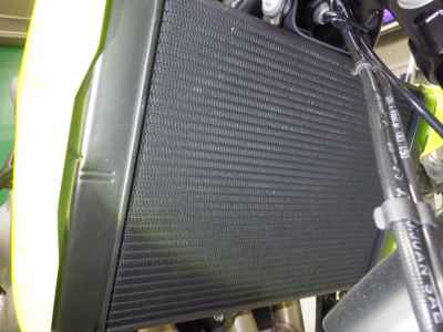 Triumph Trident 660 2025