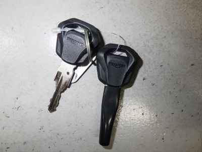 Triumph Trident 660 2025