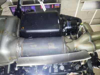 Triumph Trident 660 2025