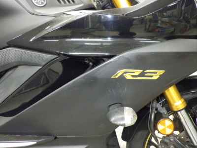 Yamaha YZF-R3 2019