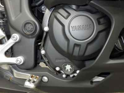 Yamaha YZF-R3 2019