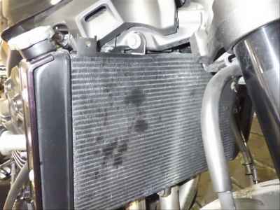 Kawasaki Z900RS Cafe 2021