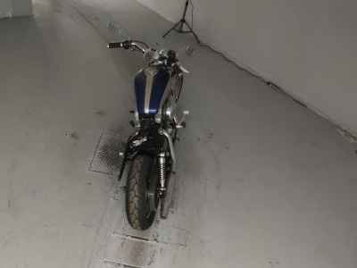 Harley-Davidson Sportster Custom XL1200C 2007