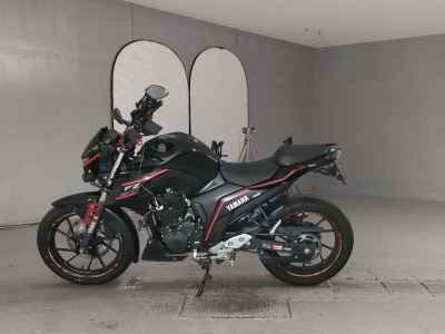 Yamaha FZ25 2021