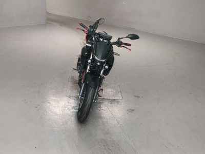 Yamaha FZ25 2021