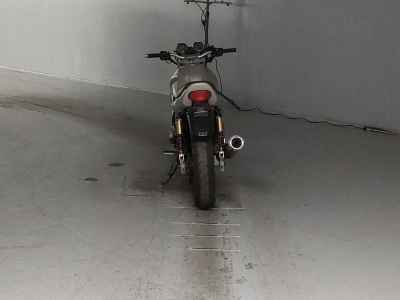 Kawasaki Balius ZR250